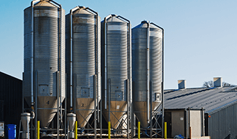 Grain